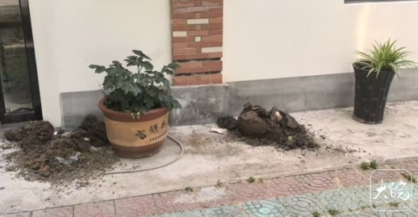 股票开户证券配资平台 肥东一男子偷花，嫌盆太重打碎盆倒掉土_大皖新闻 | 安徽网